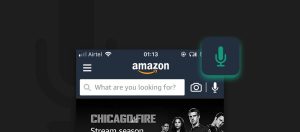 Amazon Voice Search